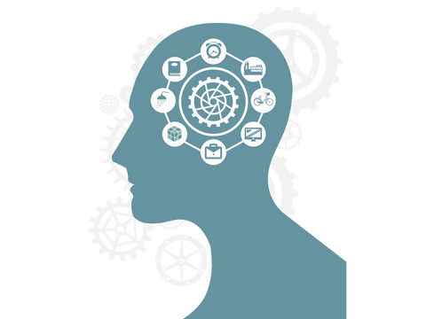 Human Head with Gears and Icons Illustrating Productivity on Transparent Background - Download Free Stock Videos Pikwizard.com