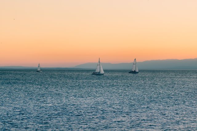 Sailboats navigating calm ocean waters during a tranquil sunset with soft pastel skies in the background. Ideal for use in travel advertisements, relaxation promotions, nautical-themed designs, or inspiring artworks depicting serenity and nature.