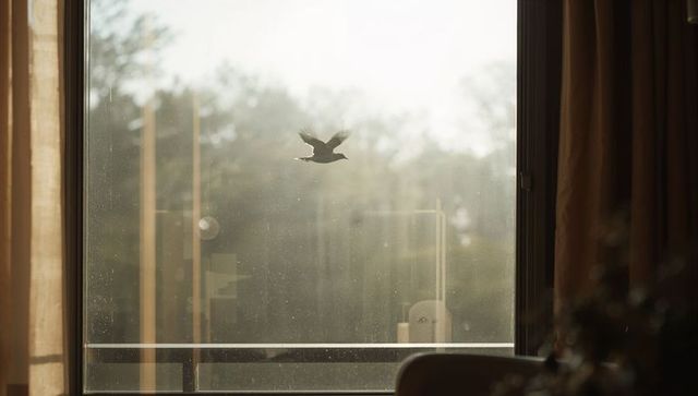Sunlit bird silhouette flying across dusty balcony glass with warm curtains