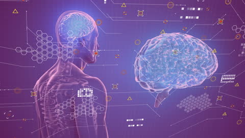 Futuristic Human Body and Brain Technology Interface