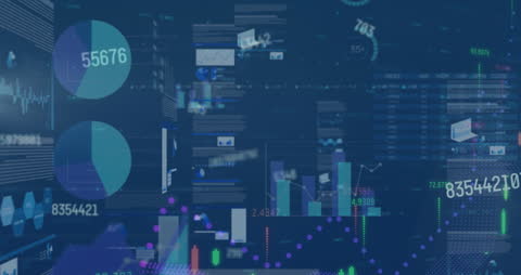 Data Processing and Visualization in Business