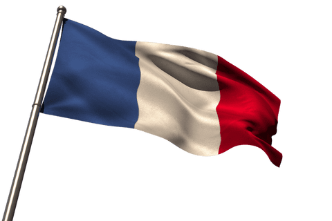 Highly Detailed Transparent French National Flag Waving on Pole - Download Free Stock Videos Pikwizard.com