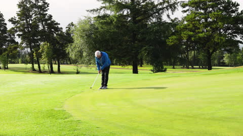 Golfer Putting on Pristine Course Amidst Tall Trees