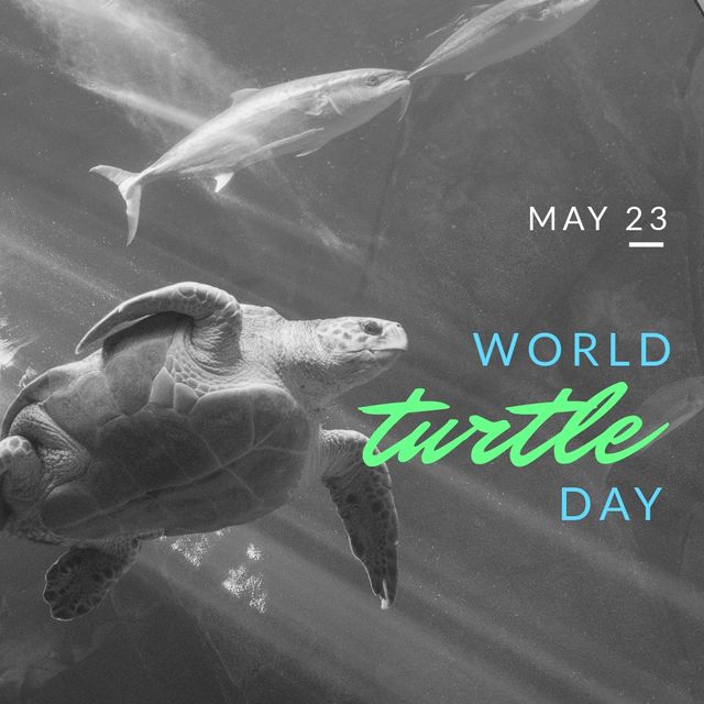 Composite image of world turtle day text with turtle swimming at aquarium, copy space. illustration, world turtle day, endangered, save turtle and social awareness.