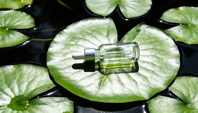 Glass dropper bottle resting on lily pad with sunlight reflections and water droplets