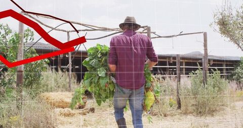 Farmer carrying harvest toward barn with red downward graph overlay indicating rural economy decline