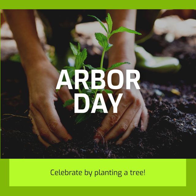 Arbor Day: Celebrating by Planting a Tree Seedling in the Garden - Download Free Stock Templates Pikwizard.com