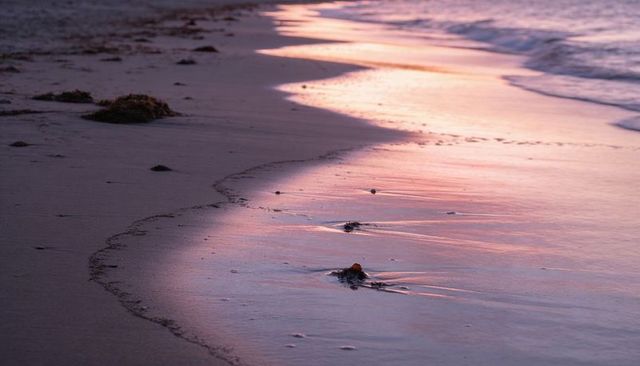 Soft pink sunset reflection on wet sand curved tide line coastal minimal serenity