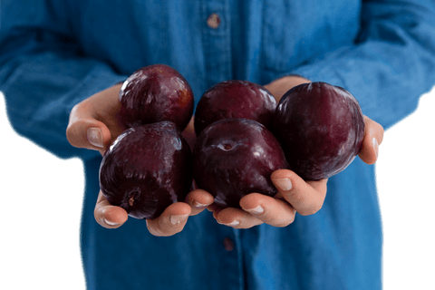 transparent mid-section woman holding fresh plums hands - Download Free Stock Videos Pikwizard.com