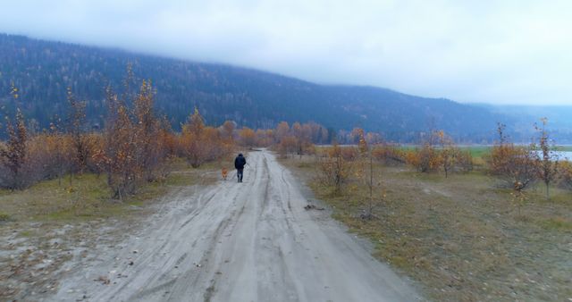 This scenic view captures a person and dog walking on a rural dirt path through an autumn landscape with colorful trees and a cloudy sky and mountains in the background. Ideal for travel blogs, nature and hiking articles, outdoor activity promotions, and seasonal content.