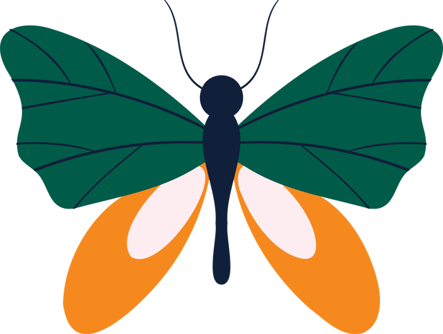 Green Butterfly with Orange Wings Vector Clip Art on Transparent Background - Download Free Stock Videos Pikwizard.com