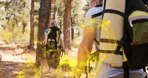 Hiking couple trekking through sunlit pine forest carrying backpacks with rolled mats
