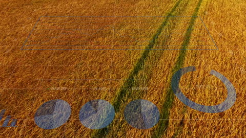 Autonomous Agriculture Using Data Analytics in Wheat Field