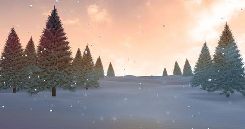 Snowfall in Tranquil Winter Forest with Soft Sunset