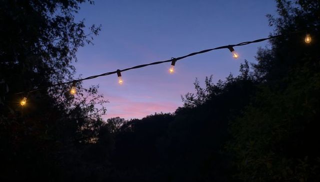 Warm edison string lights glowing over backyard dusk with silhouetted trees