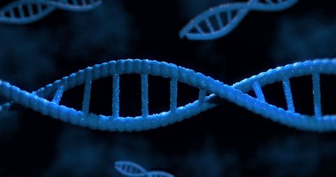 3D Render of DNA Strands on Black Background Illustrating Genetics Theme - Download Free Stock Images Pikwizard.com