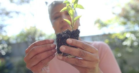 Senior Woman Gardening Home Fun