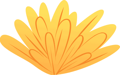 Vibrant yellow-orange petals on transparent background floral illustration
