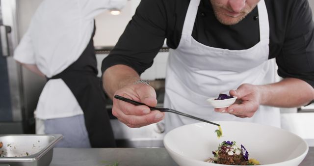 Chef Carefully Garnishing Exquisite Dish in Restaurant Kitchen - Download Free Stock Images Pikwizard.com