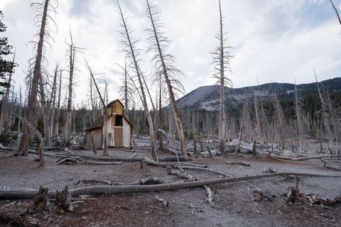Abandoned wooden cabin standing among dead trees in scorched mountain forest