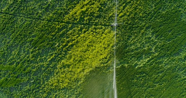 Aerial View of Lush Green Farmland with Irrigation System - Download Free Stock Images Pikwizard.com