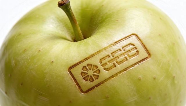Green apple laser-branded logo showing glossy skin and branding concept for packaging