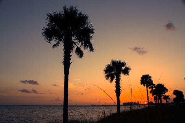 Silhouettes of palm trees stand tall against a stunning sunset, painting the sky with hues of orange and purple. The calm ocean mirrors the colors of the twilight sky. This scenic view evokes feelings of relaxation and tranquility, perfect for travel advertisements, vacation brochures, and environmental journal covers.