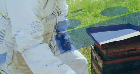 Beekeeper analyzing hive with digital statistics overlay