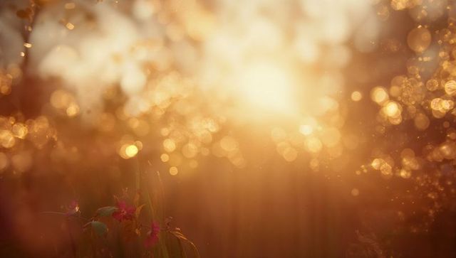 Glowing Pink Wildflowers Catching Sunrise Light in Dewy Meadow