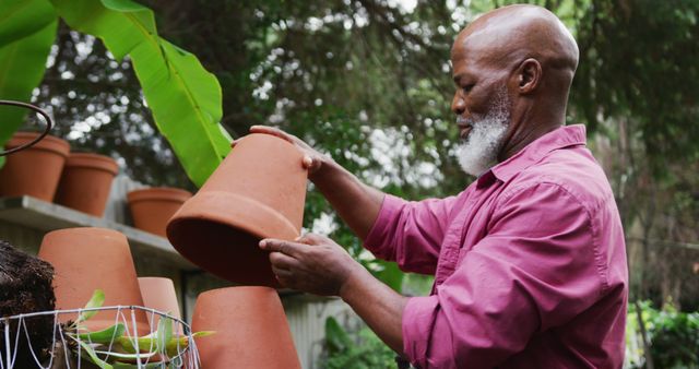 Senior Man Gardening with Terracotta Pots in Outdoor Garden - Download Free Stock Images Pikwizard.com