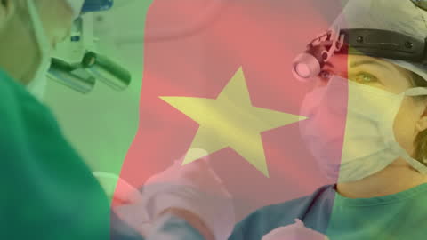 Collaboration of Surgeons with Cameroon Flag Overlay