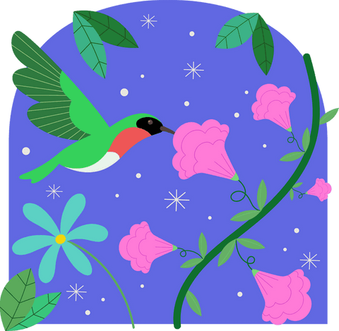 Transparent arch design with hummingbird and pink trumpet flowers