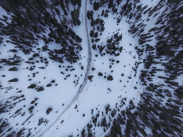 Aerial perspective of snow-covered forest landscape with a meandering road. Snow blankets the ground, creating a picturesque winter scene with scattered trees. Ideal for use in winter travel ads, nature documentaries, outdoor adventure promotions, or seasonal greeting cards.