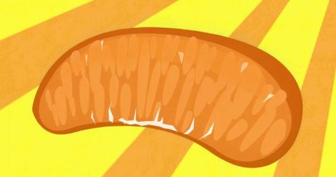 Vibrant abstract mandarin segment on sunburst background