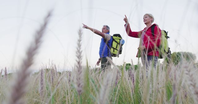 Senior couple hiking through tall grass in wilderness, enjoying nature and outdoors. They are pointing towards something in the distance. Ideal for promoting active lifestyles, retirement travel, outdoor activities, and adventure concepts. Useful for travel blogs, senior living promotions, health and fitness campaigns, and scenic nature illustrations.