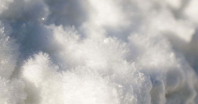 Close-up View of Fresh Powder Snow Crystals - Download Free Stock Images Pikwizard.com