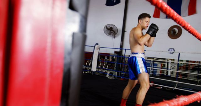 Focused Boxer Training in Gym Ring - Download Free Stock Images Pikwizard.com