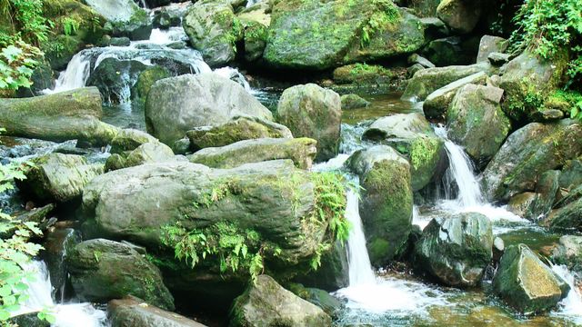 Idyllic scene captures a waterfall gently flowing over large moss-covered boulders in a creek. The setting exudes tranquility, while lush greenery envelops the area. Suitable for uses in environmental campaigns, relaxation content, nature blogs, and travel promotions emphasizing serene, untouched landscapes.