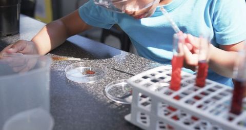 Focused student conducting experiment, school science lab