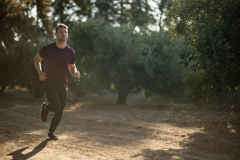 Man Jogging through Sunlit Grove on Dirt Trail for Fitness