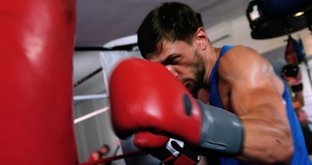 Focused Boxer Training with Heavy Bag in Gym - Download Free Stock Images Pikwizard.com