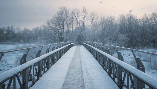 Crossing metal pedestrian bridge leading into frosted winter woodland at soft dawn light