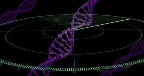 Purple DNA Helices Hovering Above Futuristic Radar Display - Download Free Stock Images Pikwizard.com