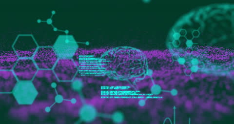 Digital Brain Data Animation and Technological Innovation