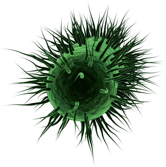 3D Transparent Green Virus Cell Isolated Digital Illustration - Download Free Stock Videos Pikwizard.com