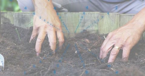 Senior man planting in raised bed with bare hands digging compost and blue overlay