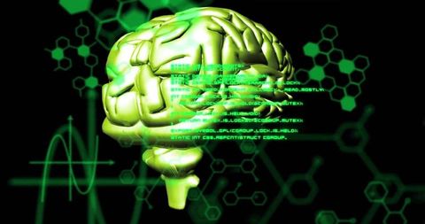 Digital Brain with Data Screen Elements for Artificial Intelligence - Download Free Stock Images Pikwizard.com
