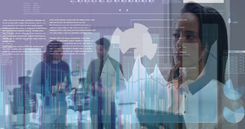 Digital Data Processing and Business Innovation