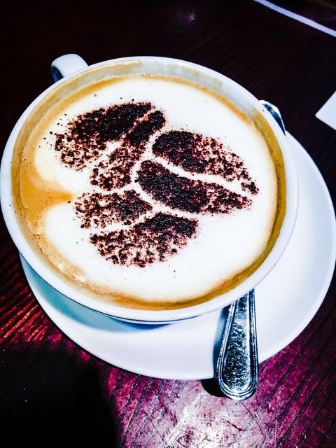 High-angle view captures a cup of cappuccino with intricate cocoa design on creamy froth. Perfect for use in food blogs, cafes' promotional materials, or articles about coffee culture.