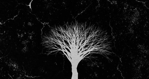 Abstract Monochrome Lightning Tree on Dark Background